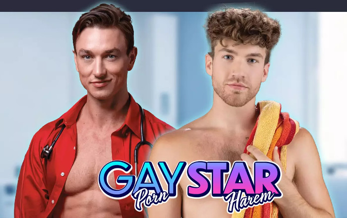 Cover art for Gay Pornstar Harem
